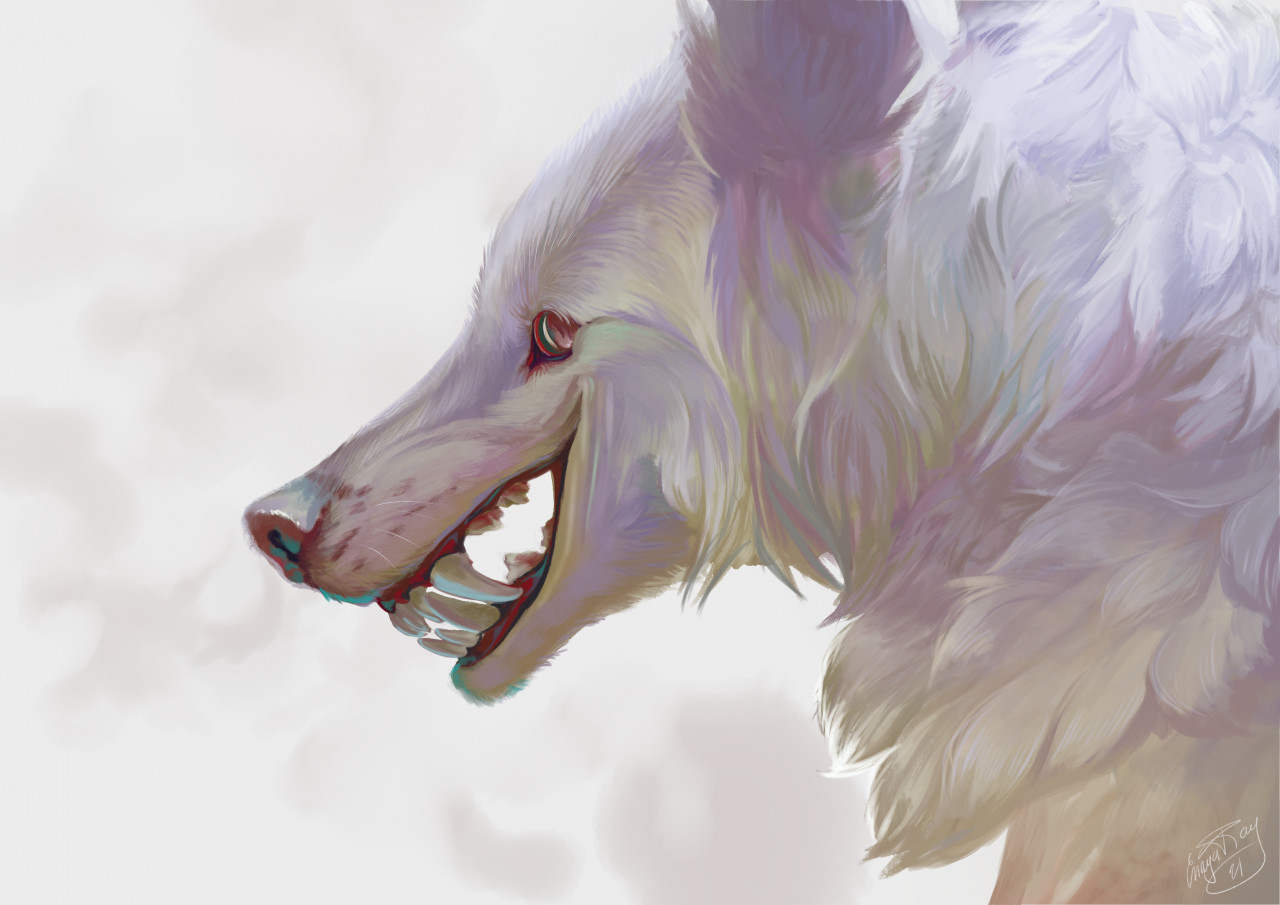 The White wolf